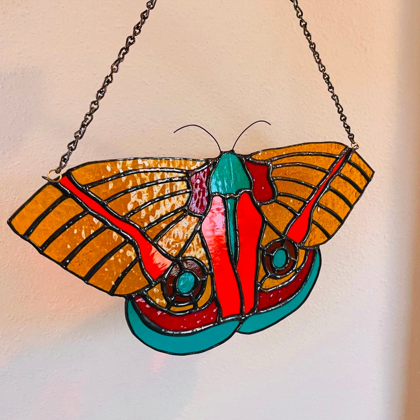 Io Moth (aka Peacock Moth)