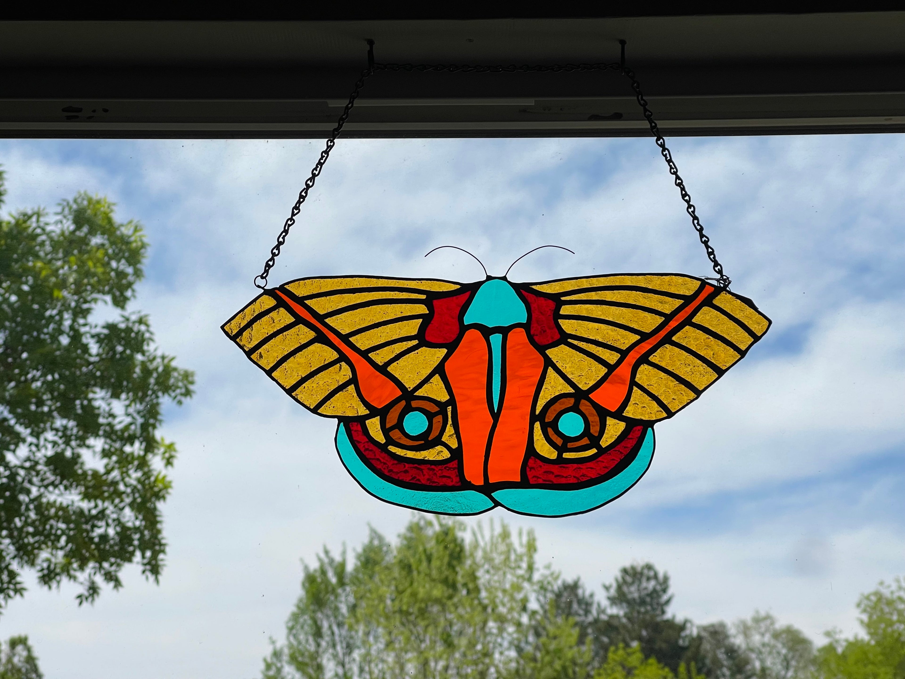 Io Moth (aka Peacock Moth)