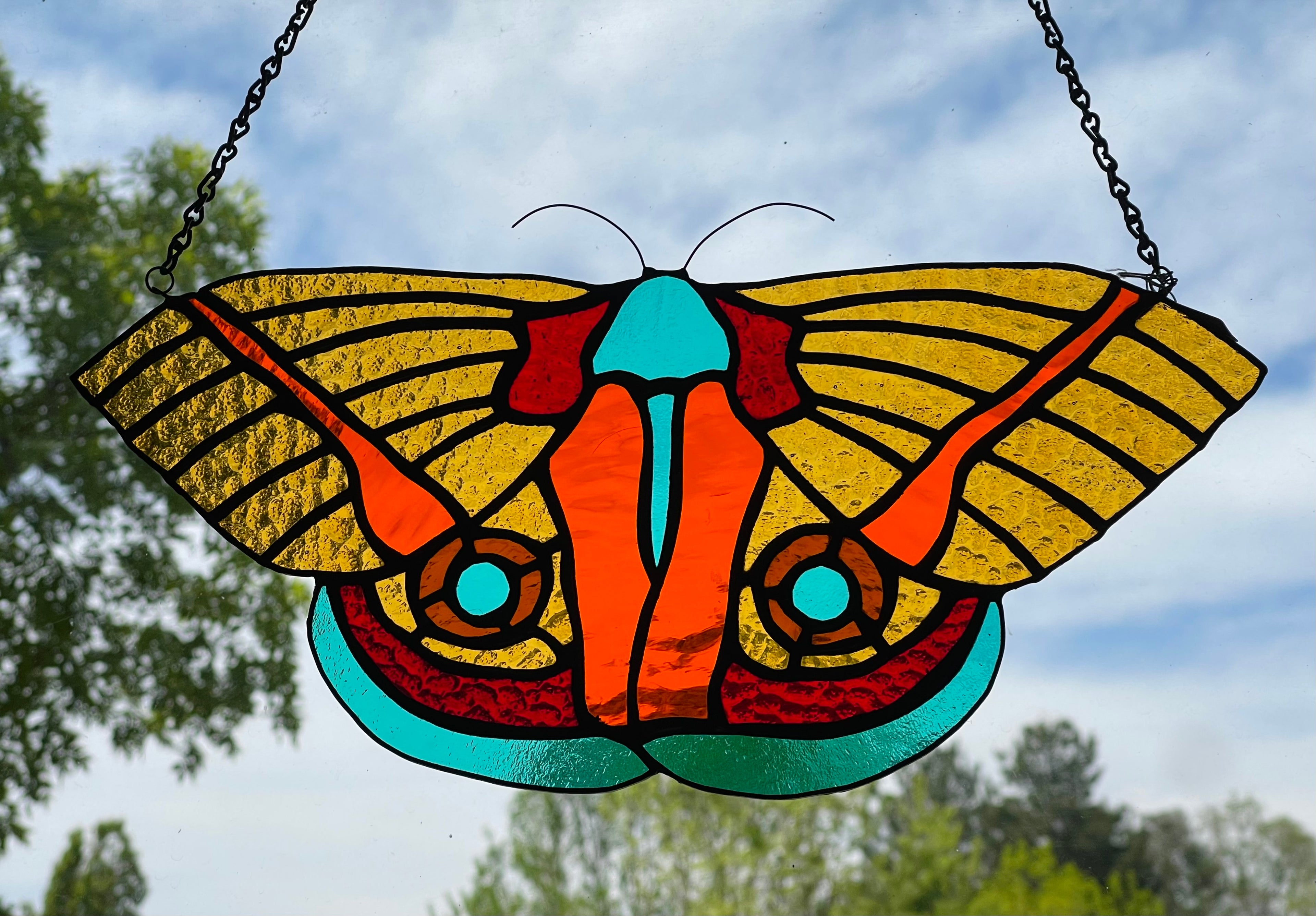 Io Moth (aka Peacock Moth)