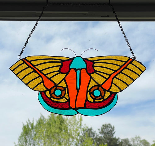 Io Moth (aka Peacock Moth)