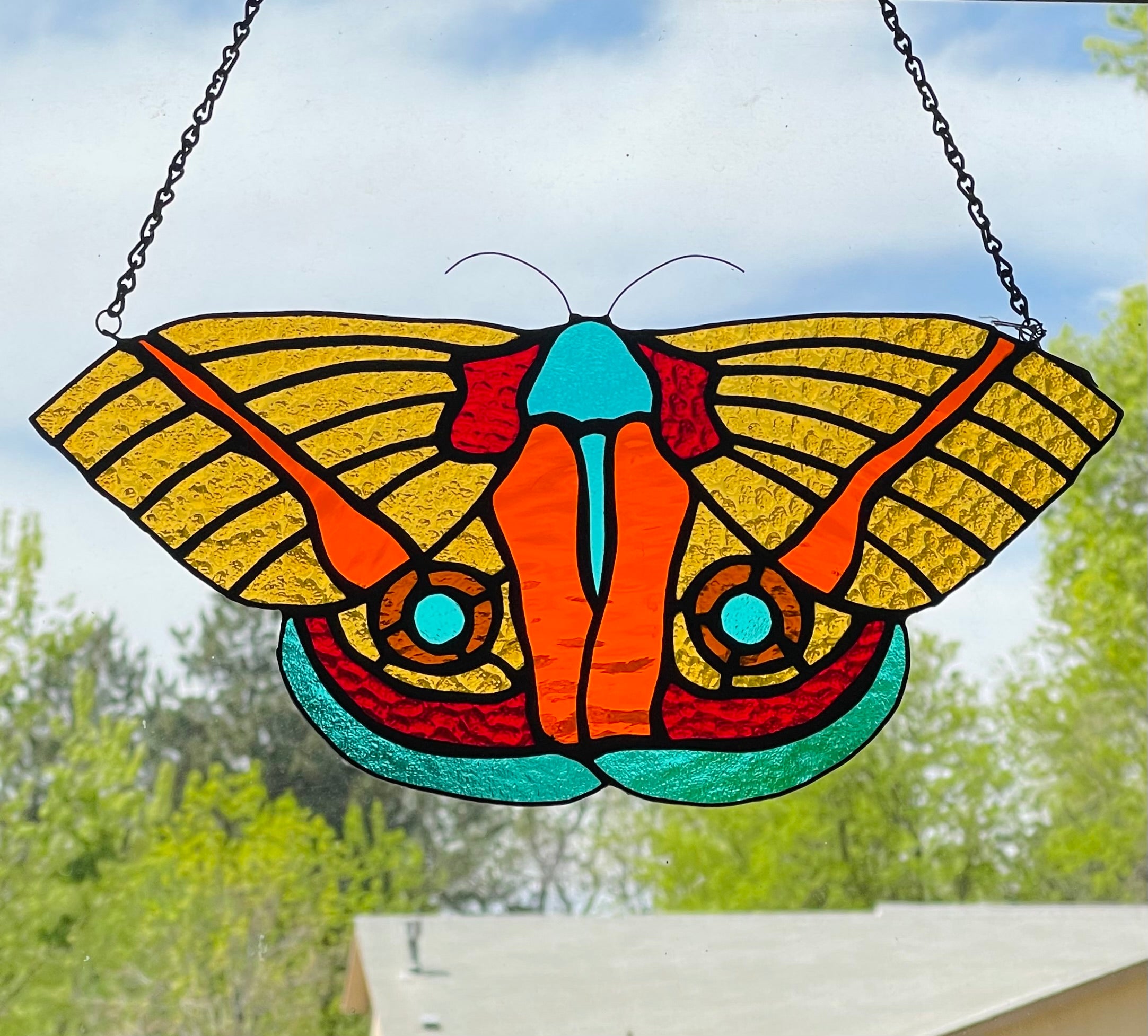 Io Moth (aka Peacock Moth)