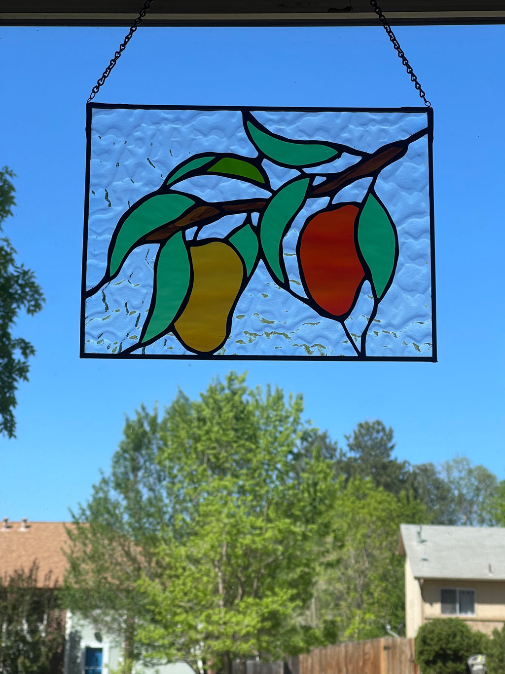The Mango Tree