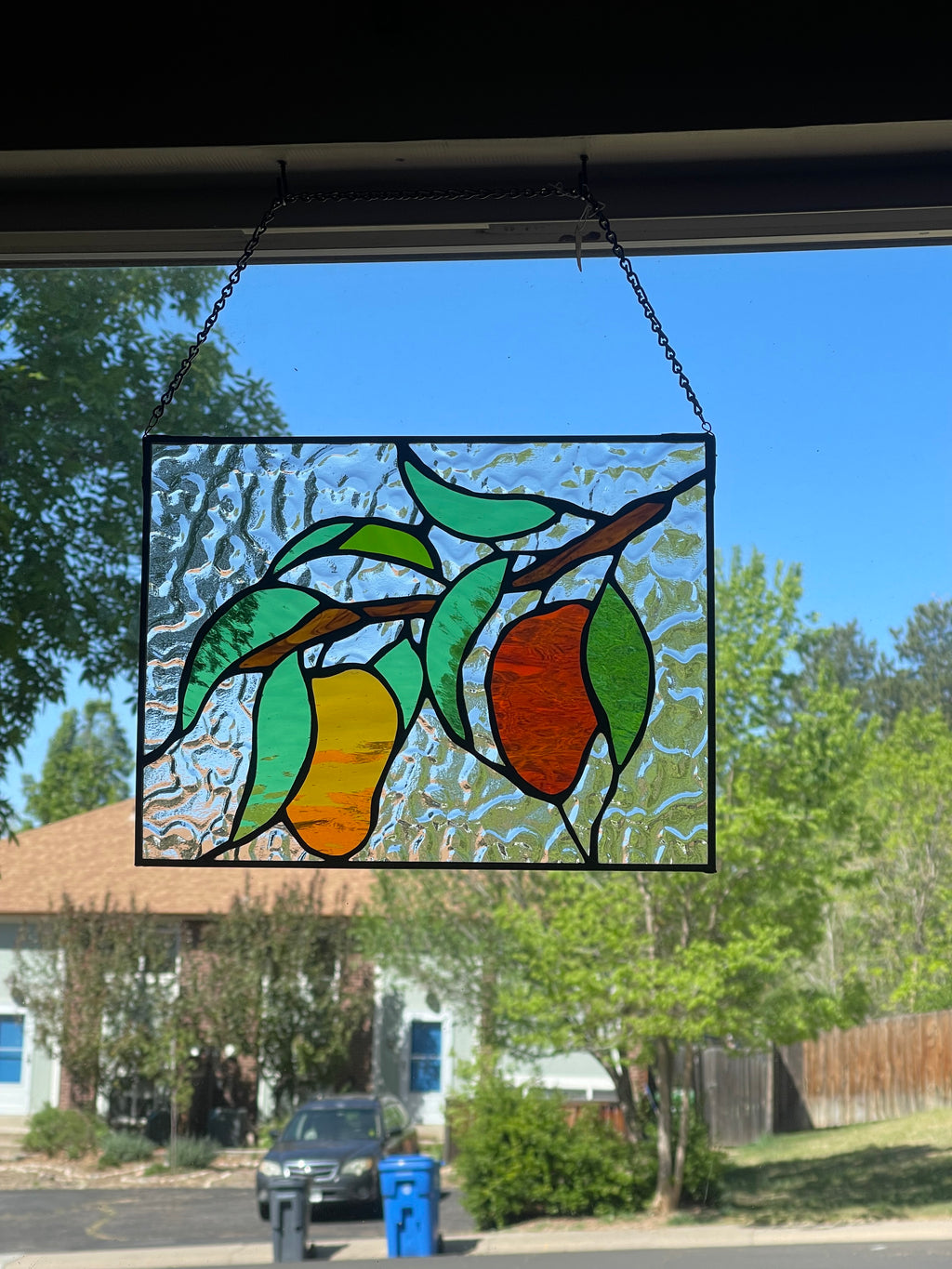 The Mango Tree