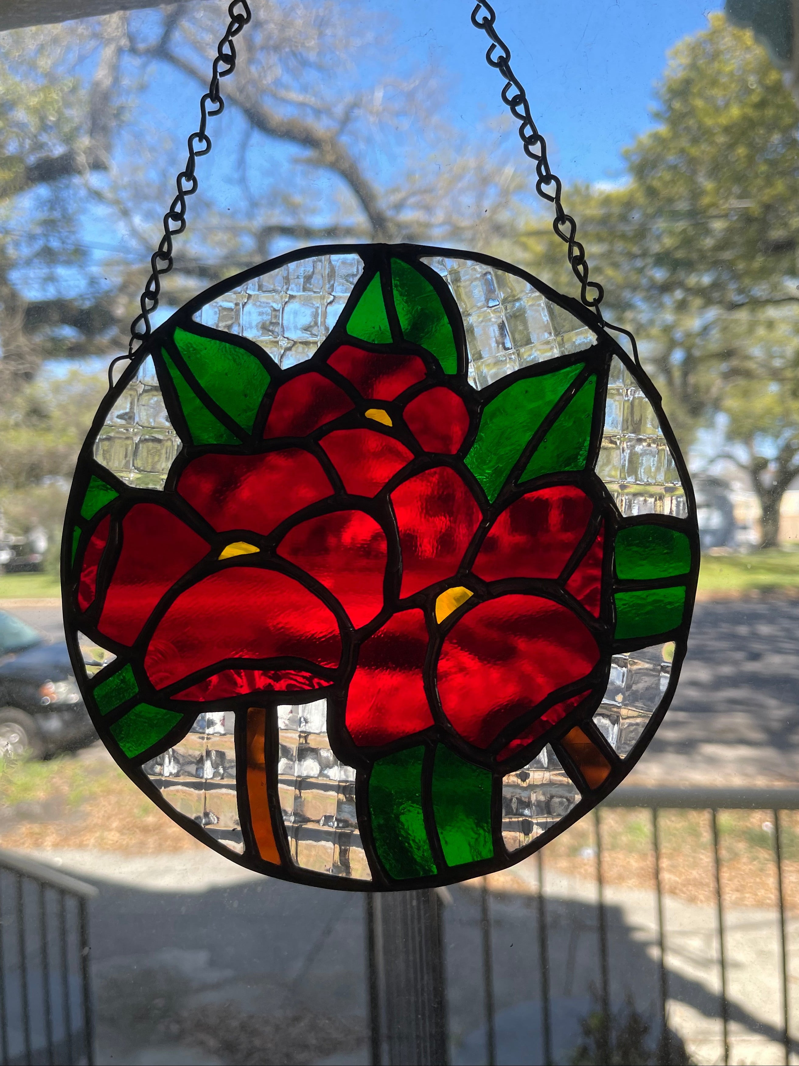 Poppies In Bloom